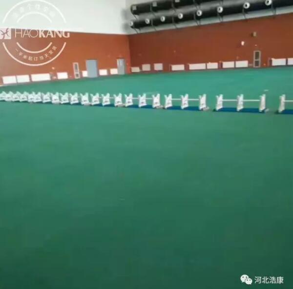 祝贺 | 浩康成为2017年天津全运会比赛场馆运动地板服务商